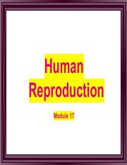 Notes_ Human Reproduction .pdf