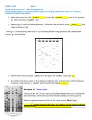 Biology Lesson 1.075 DNA Electrophoresis Assignment (1).doc