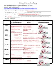 Kami Export - Jennifer Aguilar-morales - Copy of Human Blood Typing Webquest.pdf