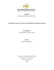 Investigación de mercados Técnicas de la metodología de investigación descriptiva.doc