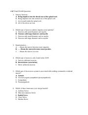 Final Exam questions (8 questions).docx