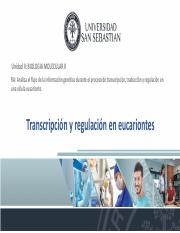 U2 Clase 3 TranscripciÃ³n y su regulaciÃ³n en eucariontes I.pdf