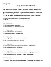 Group Member Evaluation Form- Mikey.docx