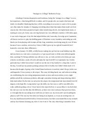 essay about the stranger