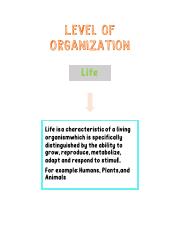 Level of Organization.pdf