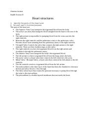 heart structure. .docx
