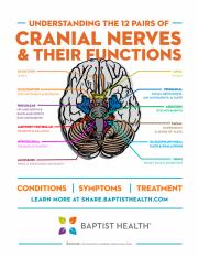 BH Cranial Nerves Graphic 772x1024 (1).jpg