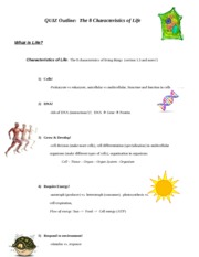 Characteristics Of Life Biology Worksheet - Nidecmege