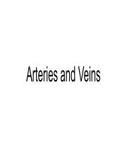 Arteries and Veins.pdf