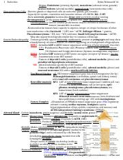 Endocrine Review 9.docx