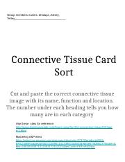 Copy of SC Connective Tissue Card Sort.pptx