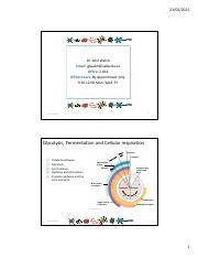 POGIL- Cell respiration overview and Glycolysis and Krebs answers (2) - Cell Respiration An ...