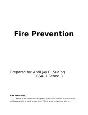 Sualog-April-Joy-B.-Fire-Prevention-report.docx