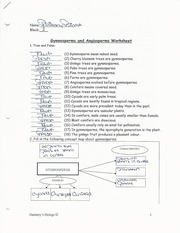 Gynmnosperms and Angiosperms Worksheet