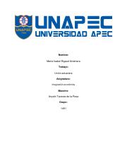 ENSAYO UNION ADUANERA.pdf