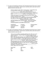 Lecture 19 Worksheet (2).docx