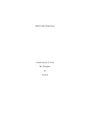 3 mini essays.pdf