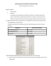 01-InformePuntoDeFusion (2).pdf