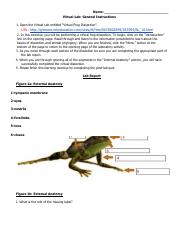 Copy of Virtual Frog dissection updated lab sheet .docx