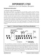 Analysis of Cell Surface Receptor Lab.pdf