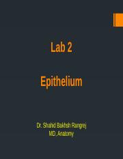 Lab 2 Epithelium.pptx