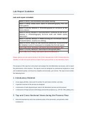 Lab Report Guideline.pdf