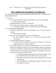 12. Resumen de Pena, medida de Segurida, y punibilidad.pdf