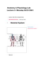 Anatomy Lab-Lecture 3.pdf