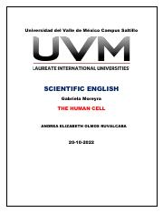 THE HUMAN CELL.pdf