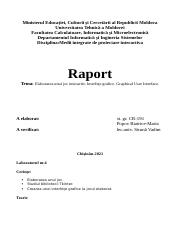 Raport_Popov-Biatrice_lab4_MIPI_.docx