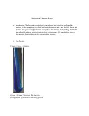 Biochemical Unknown Report.pdf