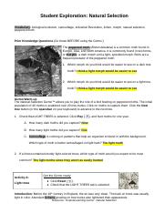 Student Exploration Natural Selection Worksheet Answers ...