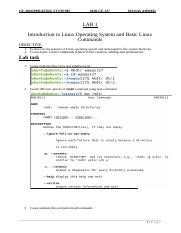 Lab 1 OS.docx
