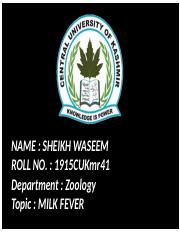 1915CUKmr41 Sheikh waseem, Milk fever.pptx