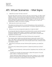 Virtual Scenario VS.docx