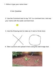 Cole Quinlan _ Student - HeritageHS - Intro to Kami Original.pdf