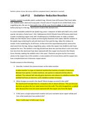 PScLab12 Oxidation-Reduction Rx (1).docx