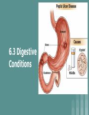 6.3 Digestive Conditions.pdf