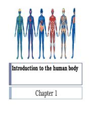 Chapter+1+-+Introduction+to+the+Human+Body.pptx