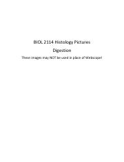BIOL 2114 Histology Pictures_Digestion_2021.pdf