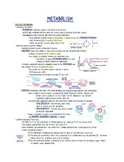 Metabolism Study Guide.pdf