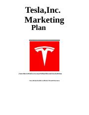 Tesla-Marketing-Plan-1z0szsg.doc