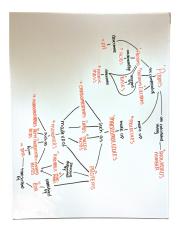Chapter 2 Concept Map.pdf