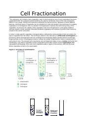 Cell Fractionation Lab.doc