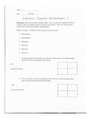 9.8.21 Punett Squares.pdf