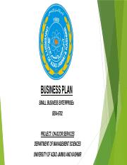 Business Plan By Syed Hamza Gillani.pptx