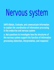 Nervous system Power Point.ppt