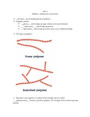 polymers no ans (1).docx
