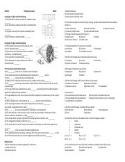 Quiz - Muscular System.pdf
