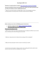 Recycling Lab Worksheet - online.docx